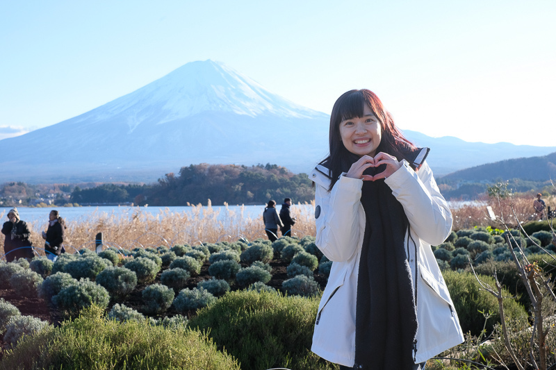 【河口湖】大石公園：巨無霸富士山視野美翻天！薰衣草、波波草花