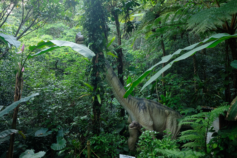 【沖繩名護】DINO恐龍公園：侏儸紀再現！80種恐龍親密接觸