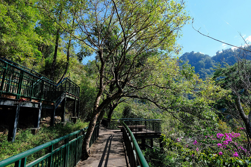 【台中】谷關景點一日遊：溫泉公園、明治老街、吊橋步道＆美食交