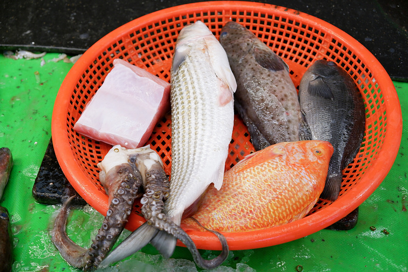 【桃園】竹圍漁港：美食餐廳、生魚片螃蟹攤位推薦、附近景點一日