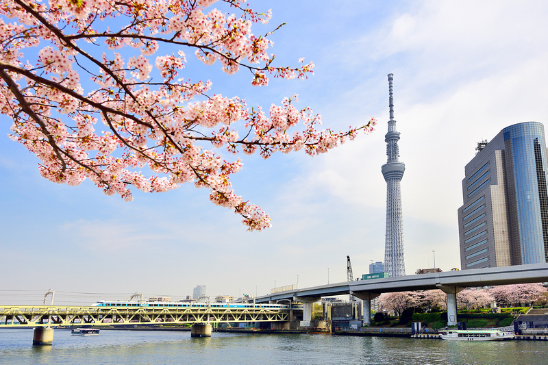 【東京】隅田公園：隅田川櫻花＆遊船夜景超浪漫！花火大會也是必訪