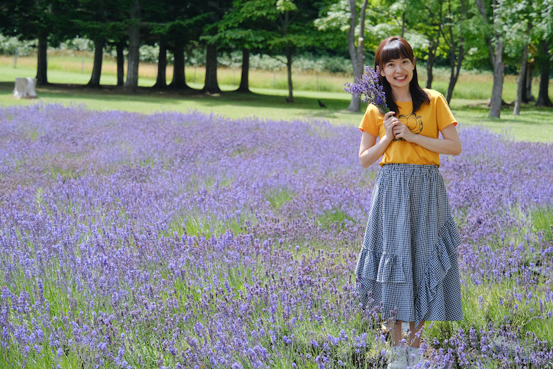 【札幌】羊之丘展望台：北海道開拓者之父！夏天薰衣草、冬天滑雪