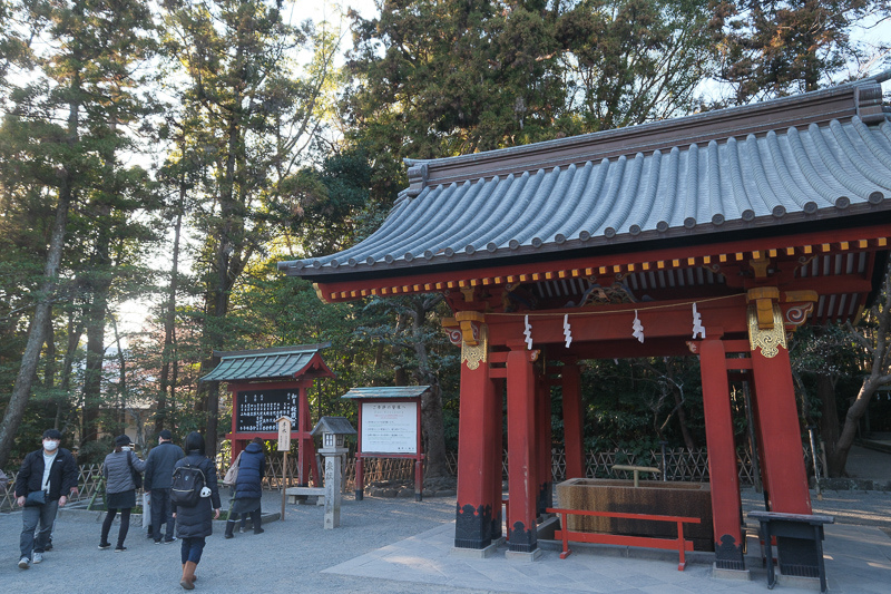 【鎌倉】鶴岡八幡宮