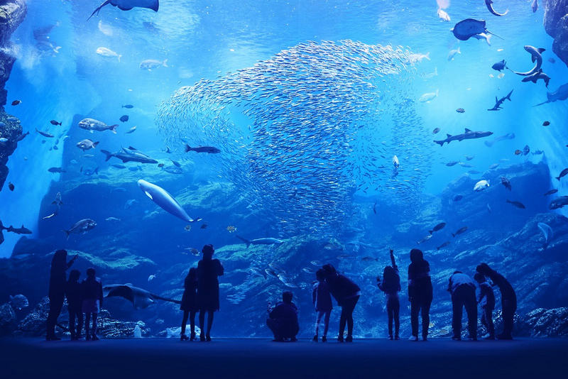 仙台水族館.jpg