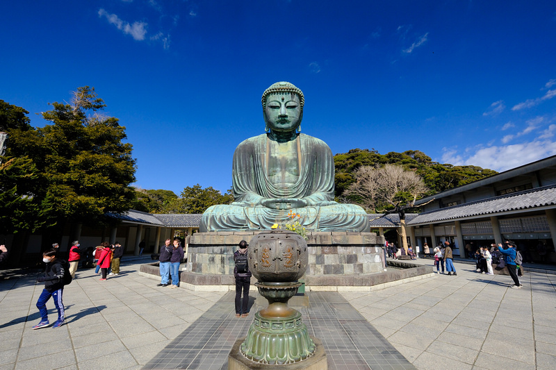 【鎌倉】鎌倉大佛殿高德院：日本第二高青銅佛像！在地神聖象徵景