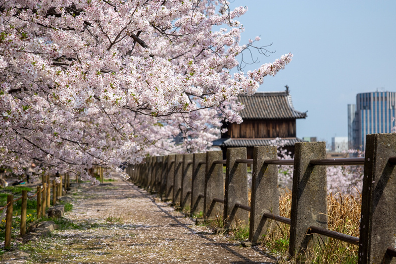 【2024福岡景點推薦】13個日本福岡必去景點！福岡旅遊行程