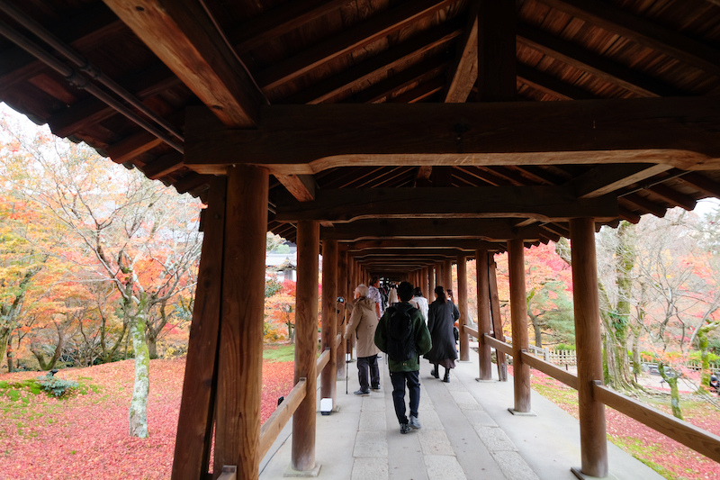 【京都賞楓景點】東福寺：楓葉之王美譽！通天橋紅葉火海般超吸睛