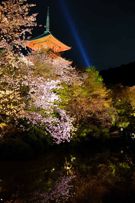 【2024京都清水寺】國寶級世界遺產！必看重點、櫻花楓葉＆門