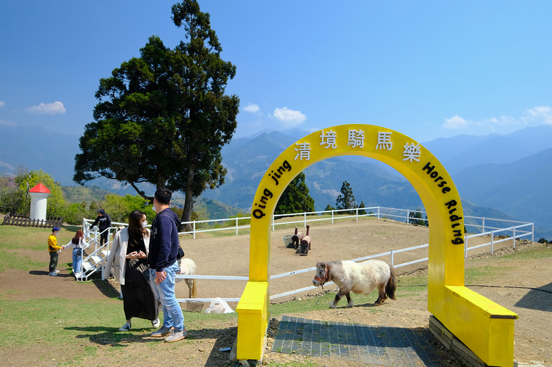 【清境農場一日遊】清境景點地圖：青青草原、綿羊秀、天空步道＆