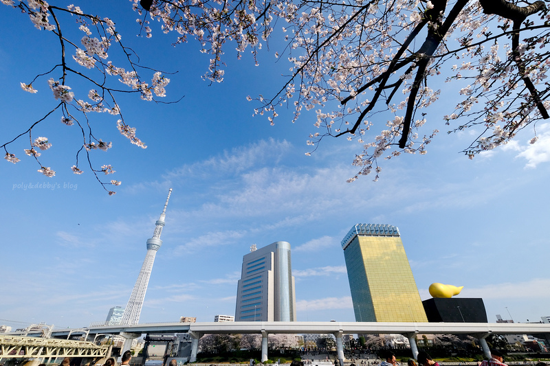 【東京櫻花景點】2024必去東京賞櫻景點＆櫻花季預測總整理(