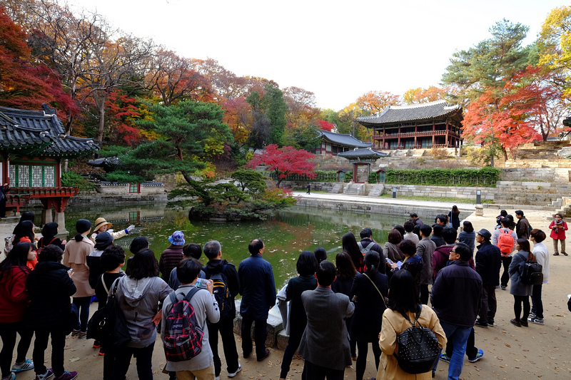 【韓國首爾】昌德宮秘苑預約＆門票韓服，紅葉漫天皇族後花園爆炸