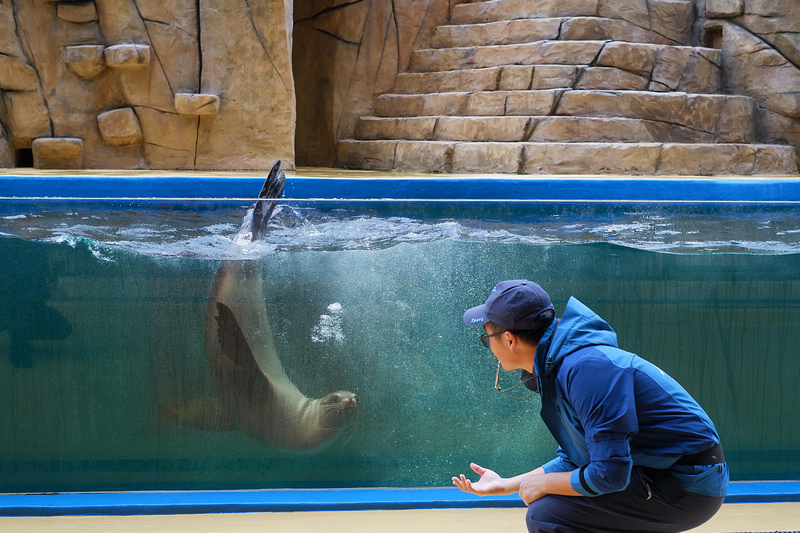 【桃園Xpark水族館】2024最新必看亮點、門票優惠、玩樂