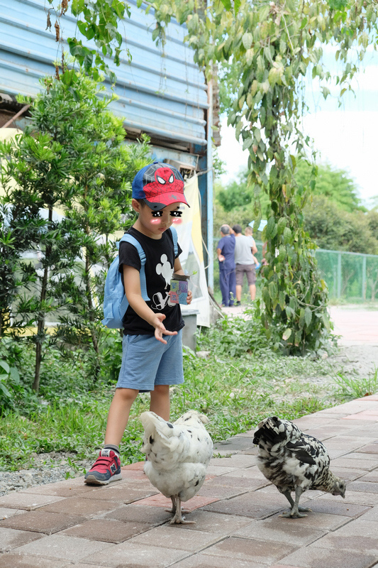 【宜蘭】宜農牧場：門票漲到150元！餵小動物、擠羊奶，親子一