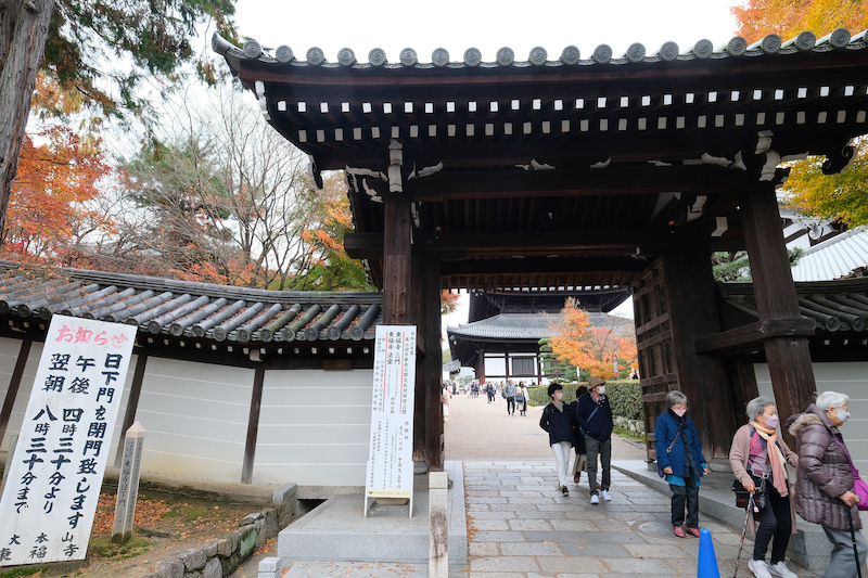 【京都賞楓景點】東福寺：楓葉之王美譽！通天橋紅葉火海般超吸睛