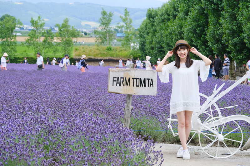 【北海道】富田農場：薰衣草花季美到爆炸！富良野花田最強景點狂