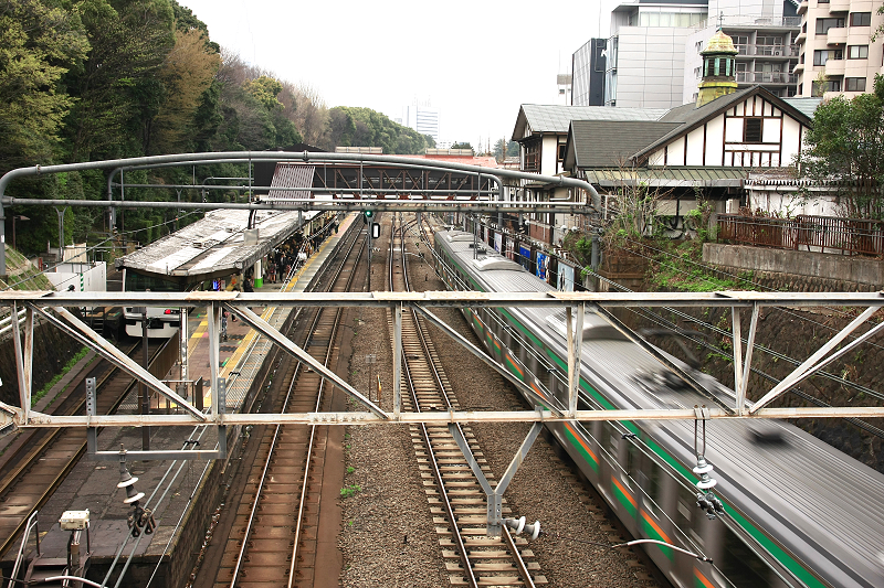 【東京】明治神宮：鳥居御守景點地圖、交通美食＆附近景點一日遊