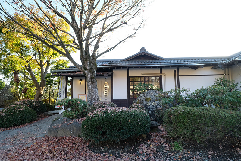 【河口湖】大石公園：巨無霸富士山視野美翻天！薰衣草、波波草花