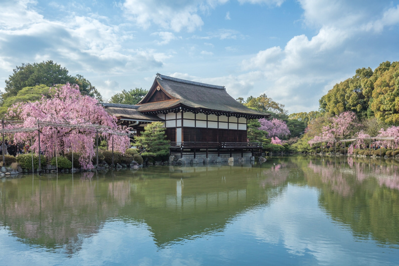 【京都】平安神宮：紀念建都千年而建！神苑櫻花夜櫻點燈＆楓葉必