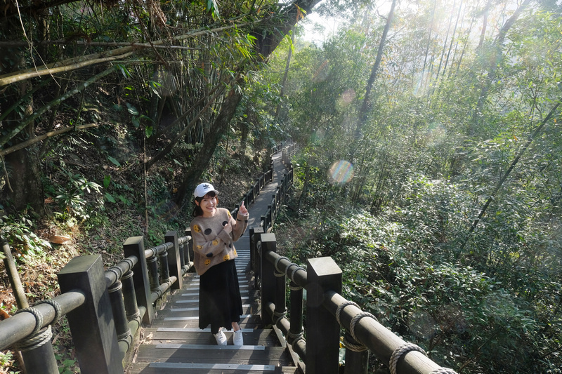 【苗栗南庄】蓬萊溪護魚步道：溪水清澈魚超多，免門票好停車平穩