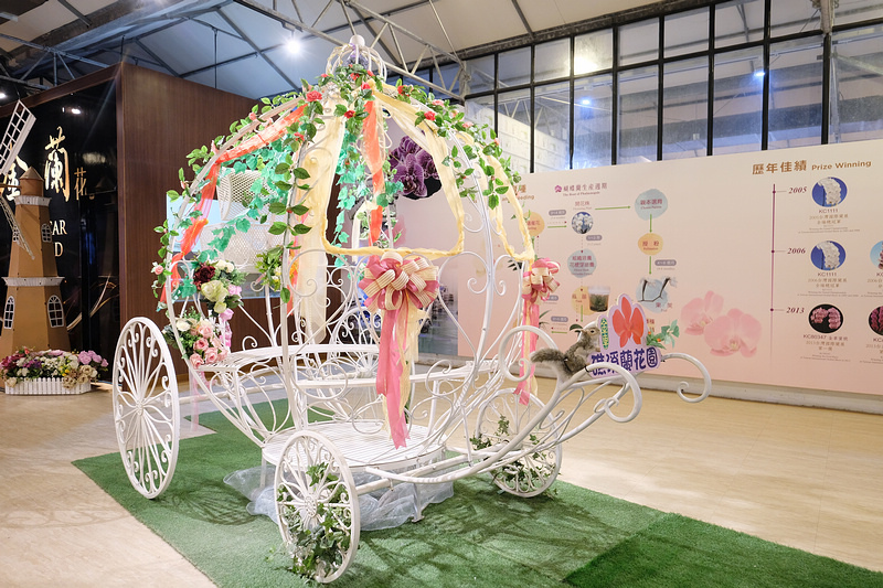 【宜蘭】金車礁溪蘭花園：不只能賞花！和水豚、狐獴、貓咪親密接