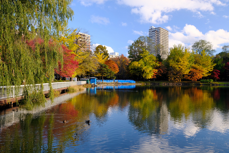 【札幌】中島公園：秋天楓葉、冬天滑雪都好玩！好評Vessel