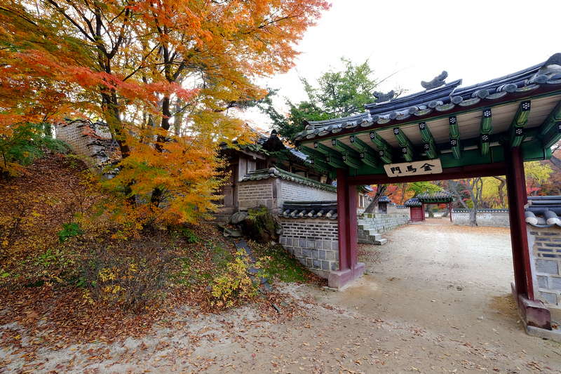 【韓國首爾】昌德宮秘苑預約＆門票韓服，紅葉漫天皇族後花園爆炸