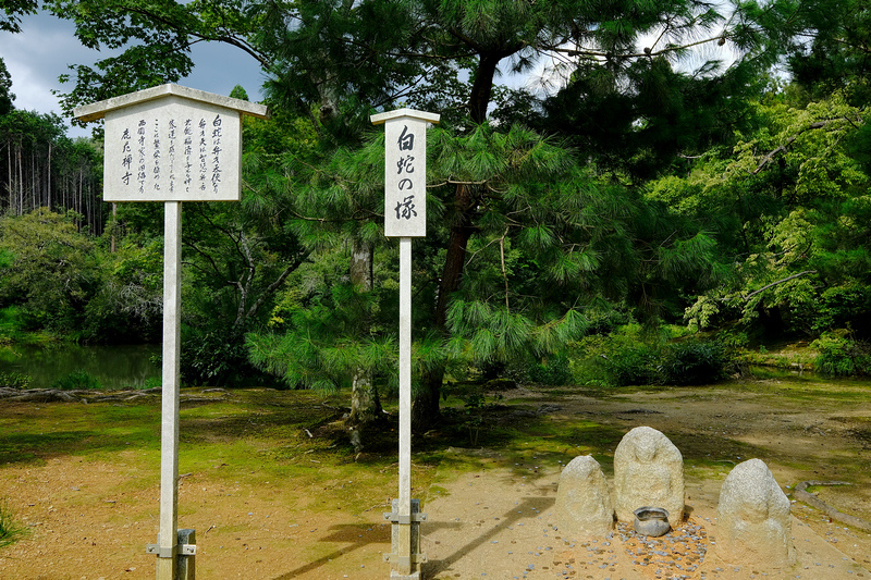 【京都】金閣寺：金碧輝煌一休和尚場景！必看重點、御守＆門票交