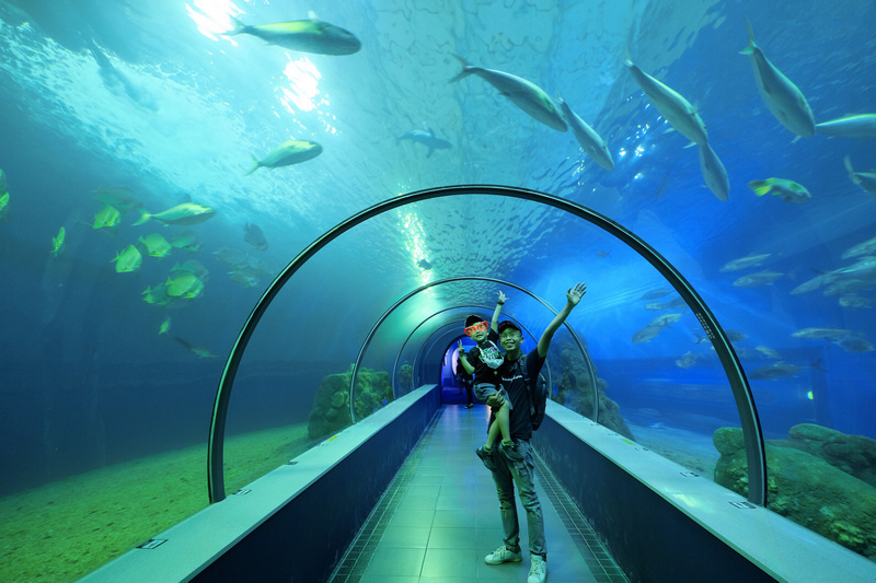 【澎湖】澎湖水族館：餵食秀超精彩！門票優惠＆海星觸摸池親子必