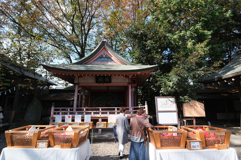 川越一日遊