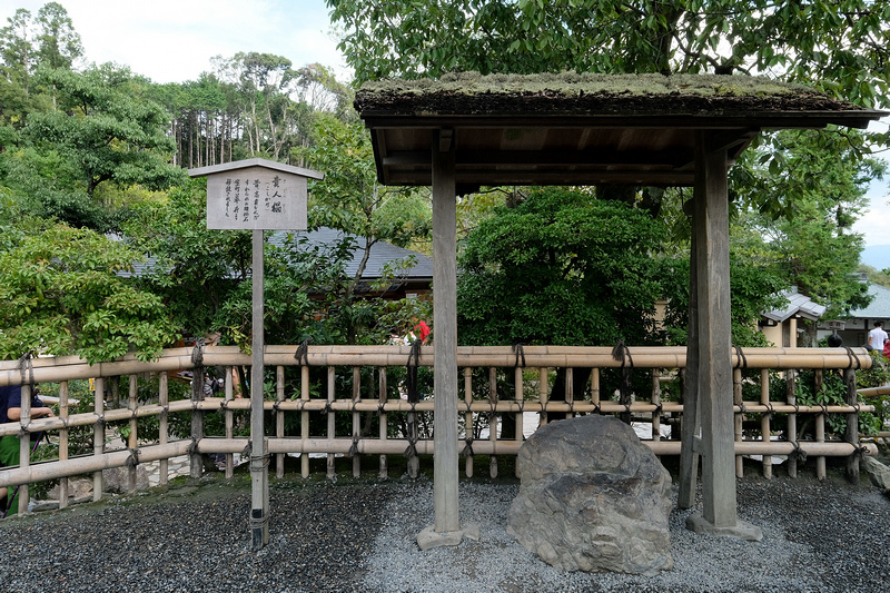 【京都】金閣寺：金碧輝煌一休和尚場景！必看重點、御守＆門票交