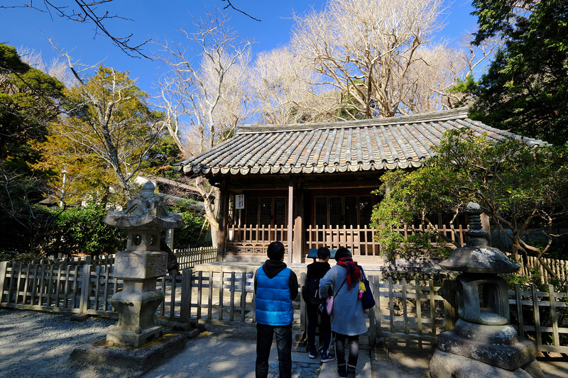 【鎌倉】鎌倉大佛殿高德院：日本第二高青銅佛像！在地神聖象徵景