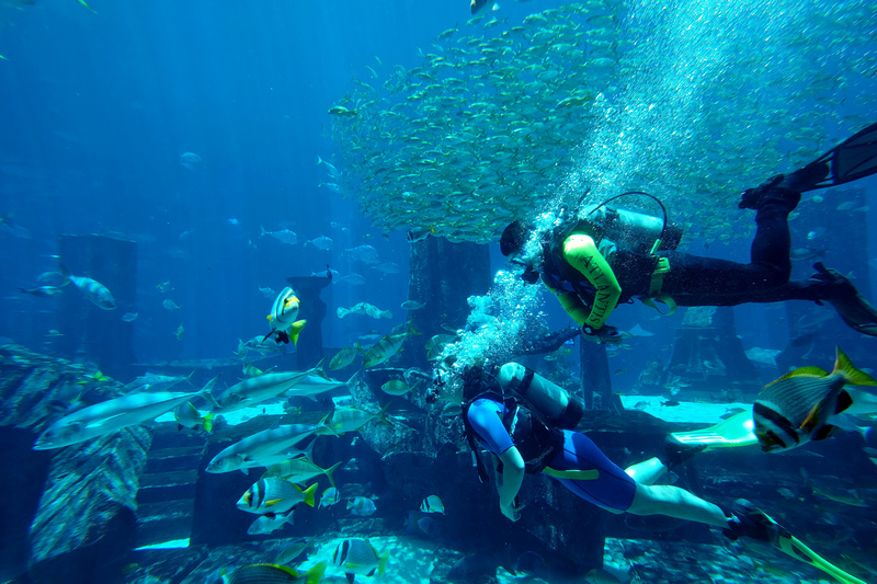 【杜拜住宿推薦】：亞特蘭提斯飯店Atlantis The Palm ♥ 數萬海底生物看個夠（水族篇）