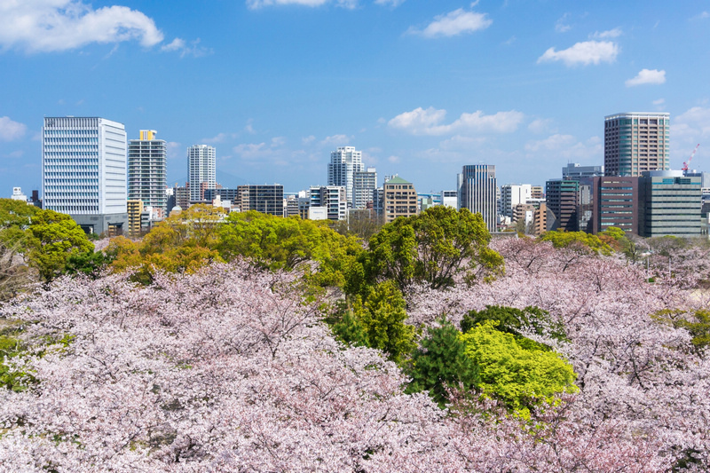 【2024福岡景點推薦】13個日本福岡必去景點！福岡旅遊行程