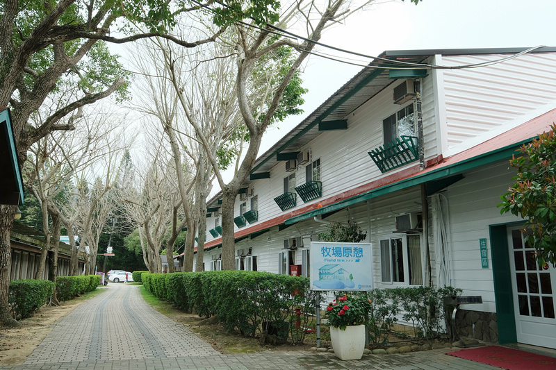 【苗栗通霄】飛牛牧場：擠奶餵羊趣！門票優惠、住宿餐廳親子一日