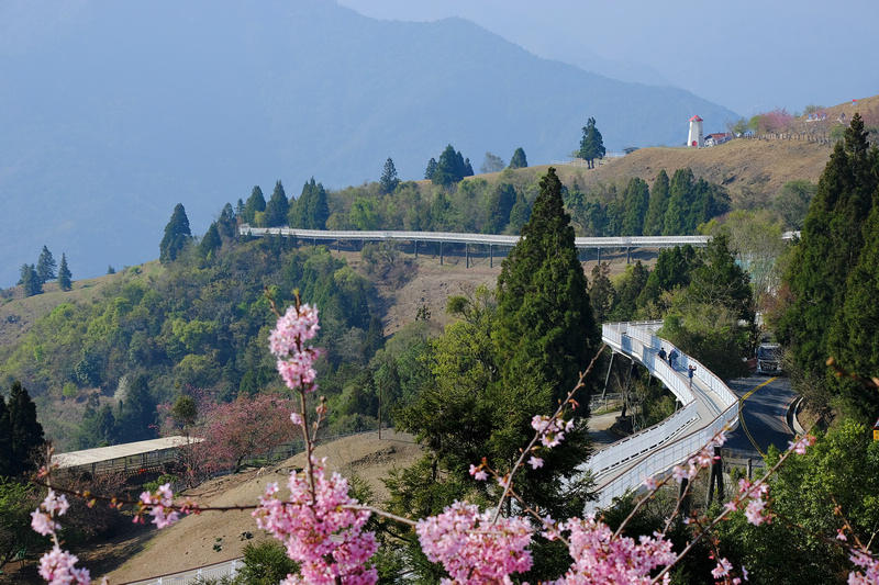 【清境農場一日遊】清境景點地圖：青青草原、綿羊秀、天空步道＆