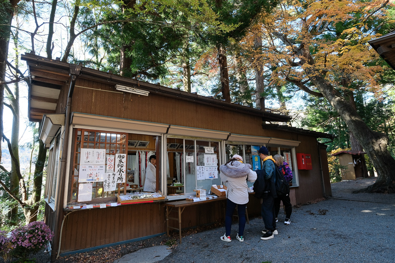 【河口湖】新倉富士淺間神社：絕美富士山景色！忠靈塔、鳥居櫻花