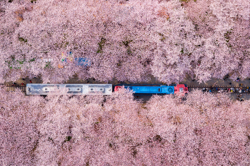 【2024釜山景點推薦】Top16韓國釜山必去旅遊景點！釜山