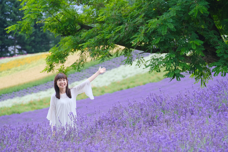 【北海道】富田農場：薰衣草花季美到爆炸！富良野花田最強景點狂