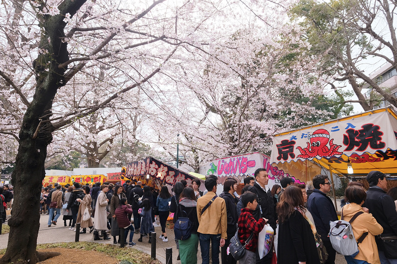 【東京】靖國神社：櫻花標準木在此！賞櫻花況指南樹，參拜爭議之