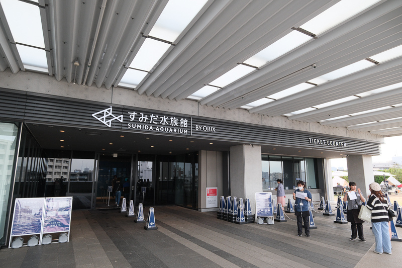 【東京】墨田水族館：晴空塔內超萌企鵝水母！門票優惠＆必看重點