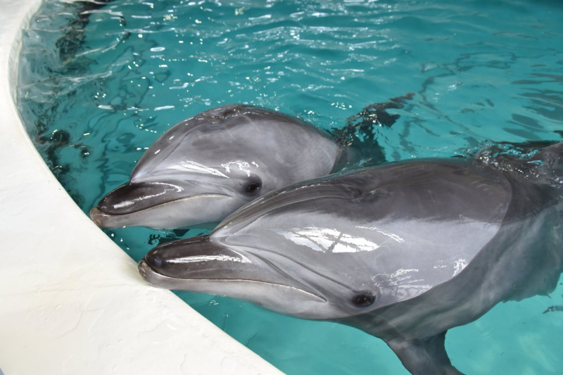 小樽水族館2.jpg