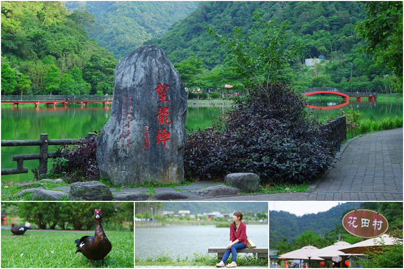 【宜蘭員山】望龍埤花田村：經典偶像劇場景！美食門票＆附近景點攻略