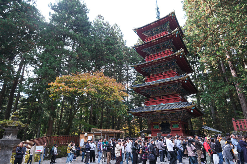 【日光一日遊】