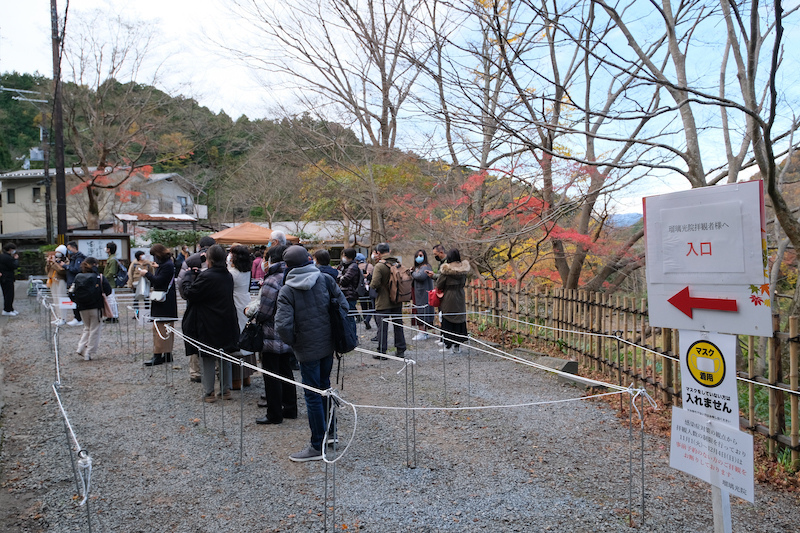 【京都瑠璃光院2024】一年開放三次！琉璃光院預約、開放時間