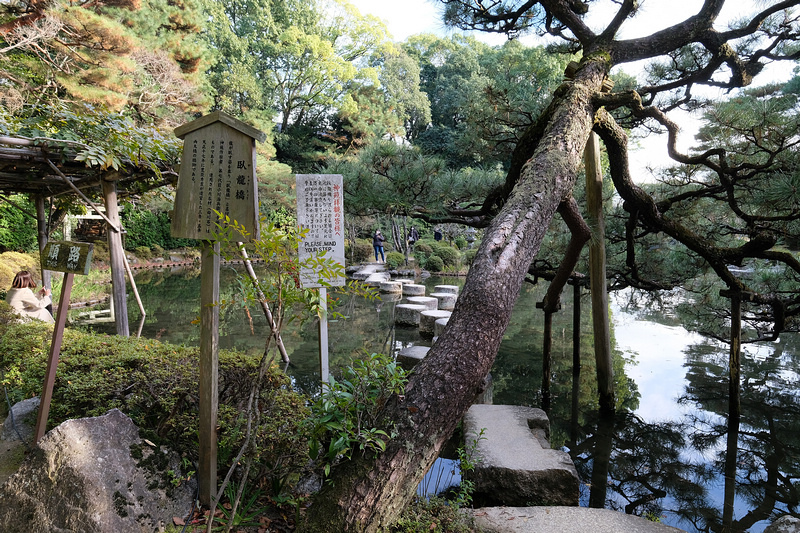 【京都】平安神宮：紀念建都千年而建！神苑櫻花夜櫻點燈＆楓葉必