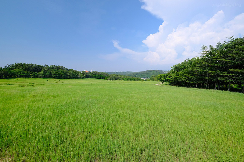 【新竹】青青草原：54公尺長溜滑梯、五大草原、健行步道，免門