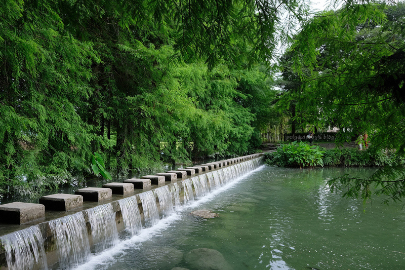 【花蓮】雲山水夢幻湖：落羽松、跳石步道＆超美湖光山色！門票民