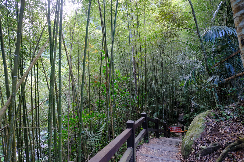 【苗栗南庄】神仙谷瀑布步道：免門票！賽德克巴萊場景＆餐廳靈異