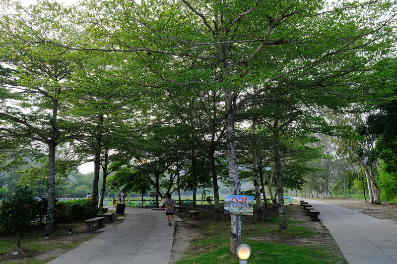 【高雄】田寮月世界地景公園一日遊：免門票天空步道＆土雞城推薦