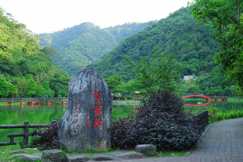 【宜蘭員山】望龍埤花田村：經典偶像劇場景！美食門票＆附近景點